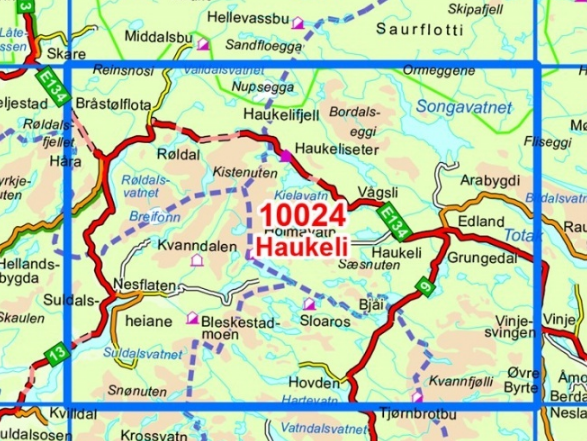 TOPO Wandelkaart 10024 - Haukeli- Telemark - Nordeca AS