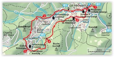 Wandelgids - Elsass- Vogesen Frankrijk - Rother