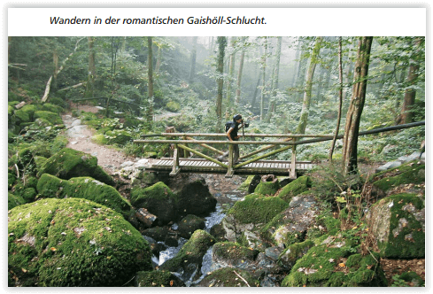 Wandelgids - Schwarzwald 42 Touren - Rother