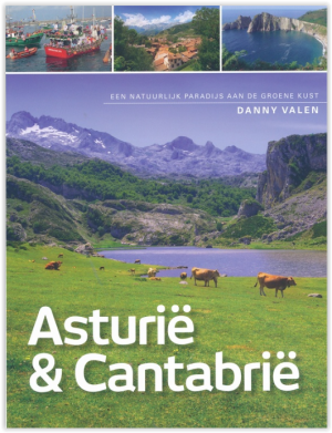 Reisgids Asturië & Cantabrië Spanje - Edicola