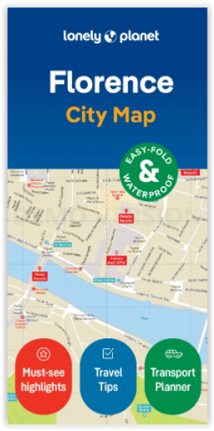 Florence city map - Lonely Planet