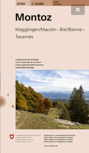 Summitkaart 25103 Mointoz - Swisstopo