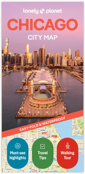 Stadskaart plattegrond Chicago - Lonely Planet