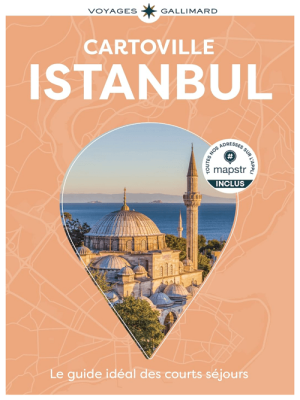 Reisgids Cartoville Istanbul Turkie - Gallimard