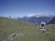 Trekkinggids Austria - 100 + walks - Cicerone