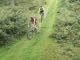 Mountainbikegids South Downs - 26 off road routes - Cicerone