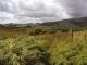 Wandelgids - Forest of Bowland & Pendle - Cicerone