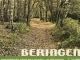 Wandelkaart - Beringen Limburg - NGI