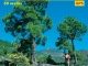 Wandelgids La Palma walking guide - Rother