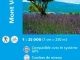 Wandelkaart 3140 ET(R) Mont-Ventoux - IGN