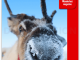Reisgids Lapland - Bradt Travel guides