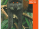 Reisgids Gabon - Bradt Travel guides