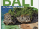 Reisgids Bali en quelques jours - Lonely Planet