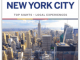 Stadsgids New York city pocket guide - Lonely Planet