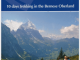 Wandelgids Tour of the Jungfrau - Cicerone
