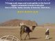 Trekkinggids - Sinai trekking guide- Egypte - Trailblazer