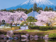 Reisgids Japan - Rough Guides