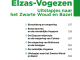 Reisgids Elzas- Vogezen met Zwarte Woud en Basel - Michelin
