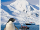 Reisgids Antarctica Guide to your adventure - Rucksack Readers