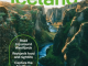 Reisgids Iceland - Lonely Planet