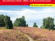 Wandelgids Luneburger Heide - Rother Bergverlag