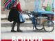 Reisgids Bolivia - Elmar