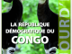 Reisgids Aujourd'hui Congo - Editions Jaguar