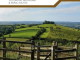 Wandelgids Day Walks in Somerset - Vertebrate Publ.