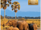 Reisgids Malawi Zuid-Afrika - Bradt Travel Guides
