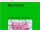 Wandelkaart 42 Sonnblick - Alpenverrein
