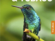 Travelguide Trinidad & Tobago Caribian Islands - Rough Guides