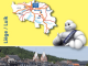 Landkaart Wegenkaart 376 Luik/Liège - Michelin