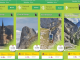 Wandelkaart 6E Picos de Europa NP - 3 kaarten + guide - CNIG