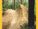 The Dirt Directory (Downhill) - Vertebrate Publishing