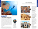 Reisgids Egypt North Africa - Lonely Planet