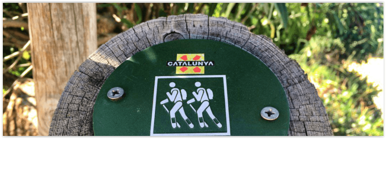 {$widgetBannerActiveWidget.banner_keywords}