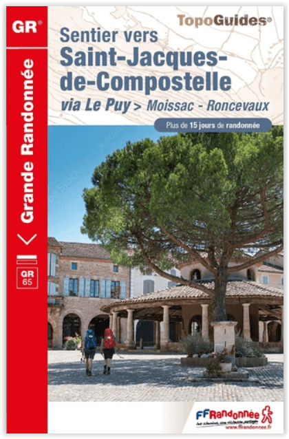 Wandelgids 653 Sentier Compostella Moissac à Roncevaux GR65 - FFR