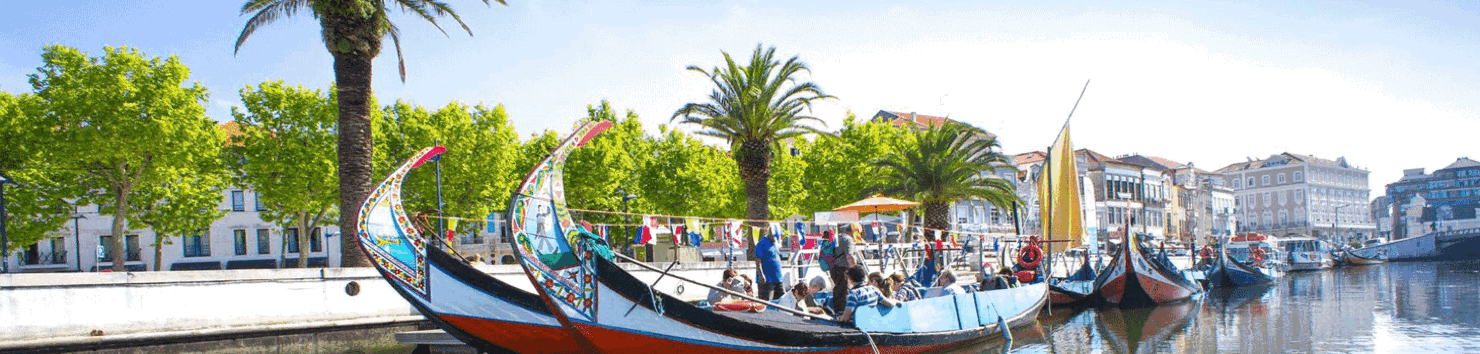 Fietskaarten Portugal, Algarve, Alentejo, Lissabon, Setúbal, Sintra, Cascais, Costa Vicentina, Porto, Douro, Minho, Centro, Madeira, Azoren, Waterbestendig, Schaal 1:50.000, Schaal 1:100.000