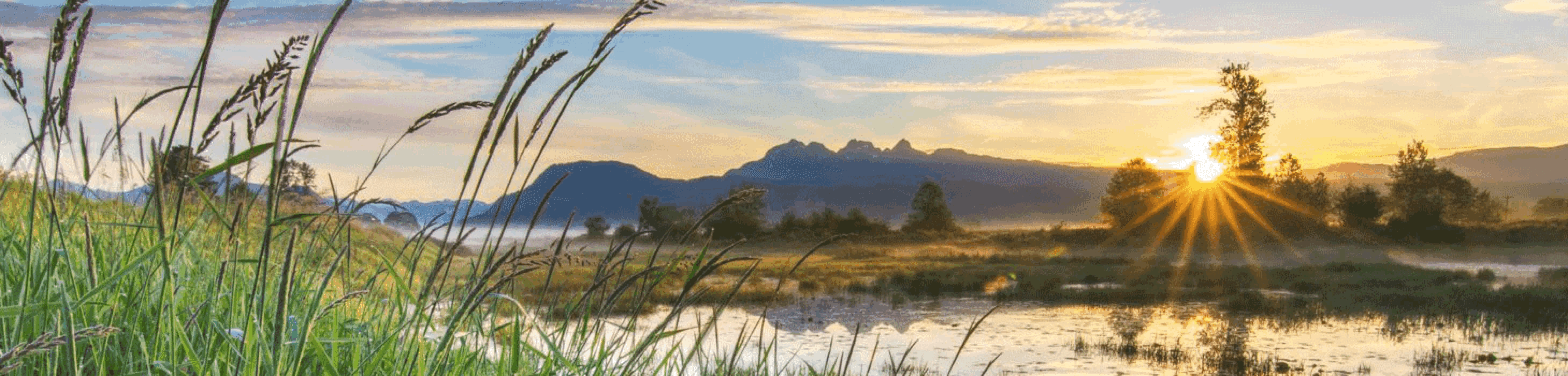 Fietskaarten Tsjechië, Elberadweg, Greenways Praag–Wenen, Zuid-Moravië, Zuid-Bohemen, Praag, Kyjovská Route, Kokořínsko, Jeseníky, Rychlebské Stezky, Lipnomeer, Šumava NP, Shocart, Kompass, Waterafstotend.