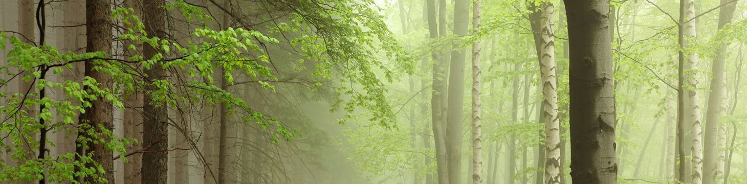 Hoge Venen, Hoge Venen Nationaal Park, wandelen in de Hoge Venen, fietsen in de Hoge Venen, Belgische Ardennen, Ardennen België, Belgische Eifel, Vlaamse Ardennen, Luxemburgse Ardennen, Mountainbiken in de Ardennen, fietskaarten Hoge Venen, wandelkaarten,