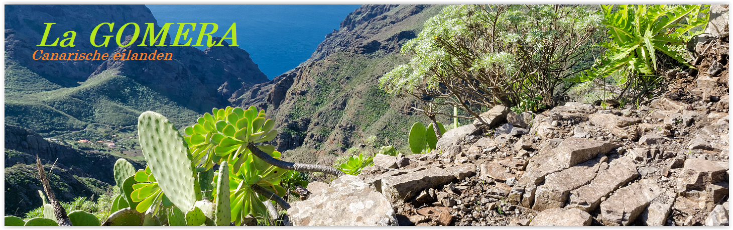 Avontuur La Gomera, wandelen La Gomera, wandelroutes La Gomera, GR131 La Gomera, Nationaal Park Garajonay, wandelgidsen La Gomera, wandelkaarten La Gomera, natuurwandelen La Gomera, vulkanisch landschap La Gomera, wandelen in de barranco's van La Gom