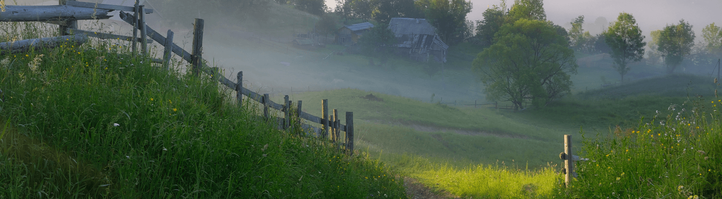 Beieren Wandelen, Neuschwanstein Kasteel, Fietsen In Beieren, Zugspitze Wandelroutes, Romantische Straße Fietsen, Rothenburg Ob Der Tauber, Chiemsee Wandelen, München Bezienswaardigheden, Oktoberfest München, Allgäuer Alpen Wandelen, Beieren Natuurparken,