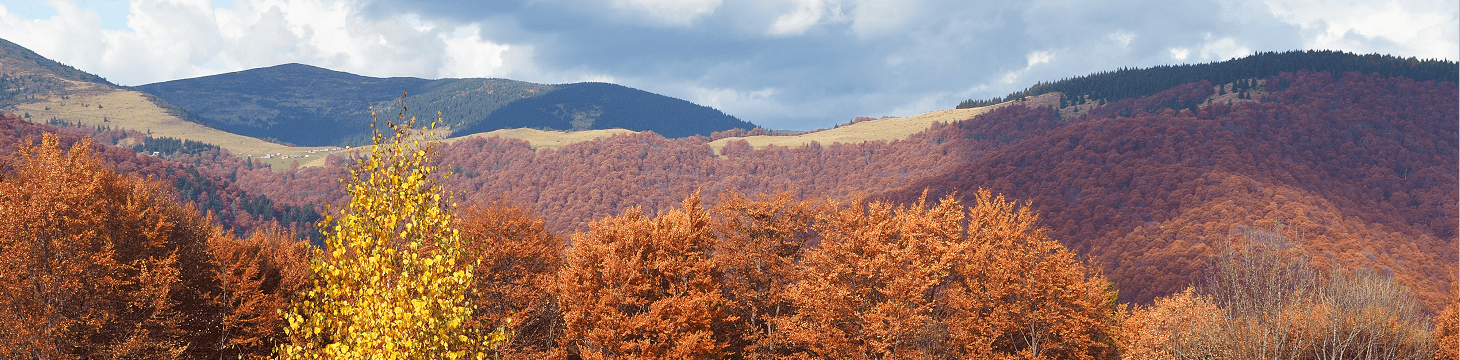 Rheinland-Pfalz Wandelen, Rheinsteig Fietsen, Moezelradweg, Rijn Kastelen, Wandelen Langs De Moezel, Mainz Bezienswaardigheden, Fietsen In Rijnland-Palts, Koblenz Deutsches Eck, Rheinland-Pfalz Wijngaarden, Natuurwandelingen Rheinland-Pfalz, Rijn Fietspad