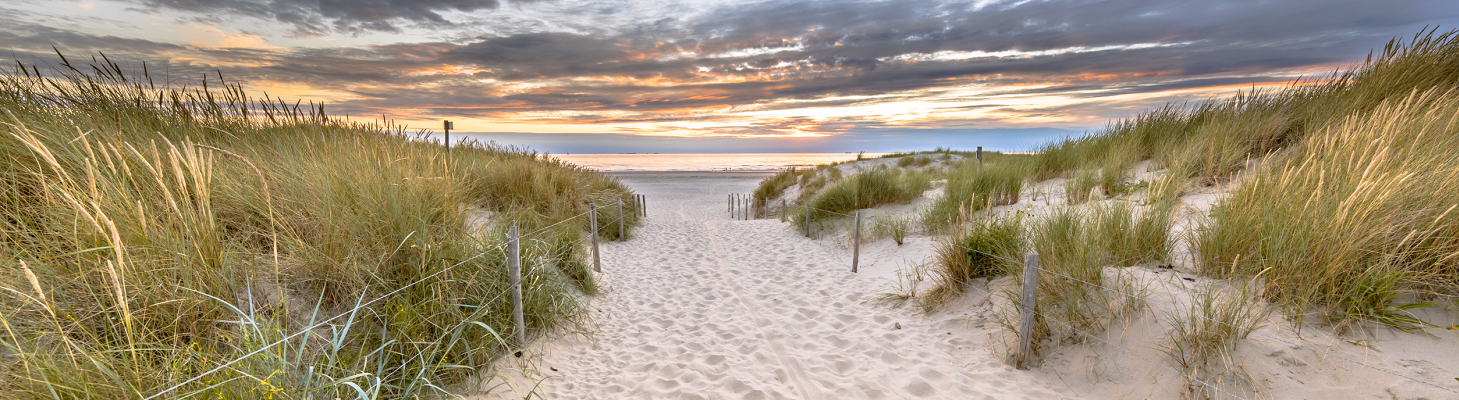 Waddeneilanden, Texel Vakantie, Terschelling Fietsen, Vlieland Autovrij, Ameland Stranden, Schiermonnikoog Nationaal Park, Wadlopen Waddenzee, Natuur Waddeneilanden, Eilandhoppen Waddeneilanden, Zeehonden Wadden, Waddeneilanden Wandelroutes, Fietsen,
