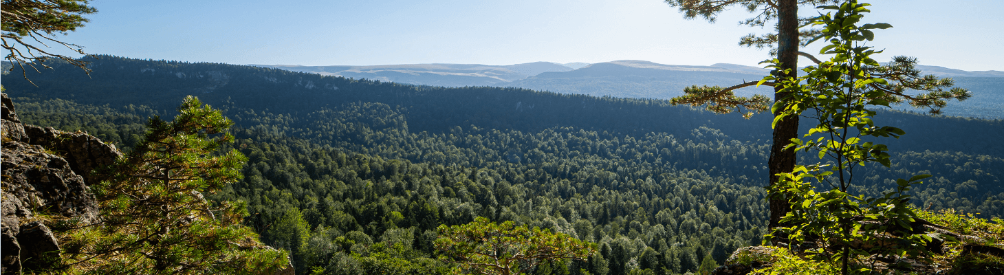 Wandelen In De Franse Vogezen, GR5 Wandelroute Vogezen, Route Des Crêtes Wandeling, Tour Des Ballons Des Vosges, Meerdaagse Wandeltochten Vogezen, Lac Blanc Vogezen Wandeling, Ballon D’Alsace Route, Lac De Gérardmer Trail, Sentier Des Lacs Vogezen,