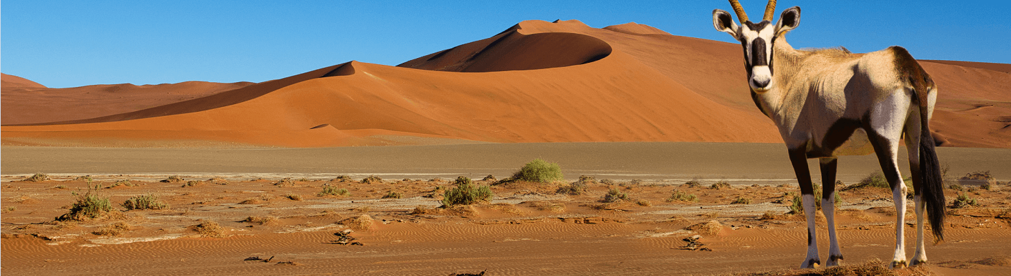 Reisgidsen Namibië, Reisgids Namibië, Vakantie Namibië, Reizen naar Namibië