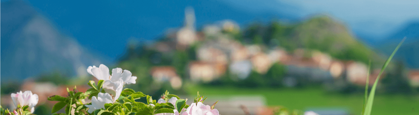 Piemonte,  Italiaanse regio Piemonte,  bezienswaardigheden Piemonte,  wandelen in Piemonte,  fietsroutes Piemonte,  reisgids Piemonte,  wandelkaarten Piemonte,  wijnstreek Langhe,  vakantie Piemonte