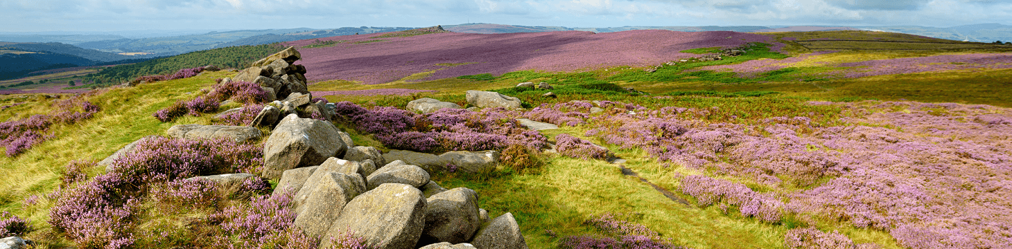 North York Moors National Park, Yorkshire Engeland, Whitby, Helmsley, Robin Hood’s Bay, Goathland, Rosedale Abbey, Cleveland Way, Yorkshire Dales, England Hiking