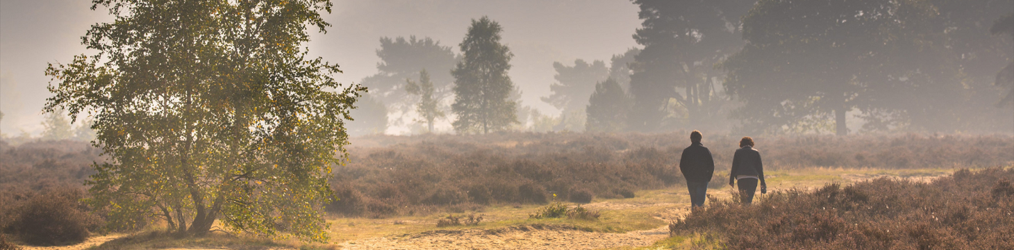 Provincie Antwerpen, Wandelen Antwerpen, Fietsen Antwerpen, Wandelkaarten Antwerpen, Fietskaarten Antwerpen, Wandelgids Antwerpen, Fietsgids Antwerpen, Kempen, Antwerpse Kempen, Neteland, Schelde, Mechelen, Lier, Turnhout, Wandelroutes Antwerpen, Fietsrou