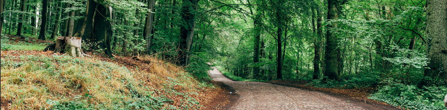 Provincie Namen, Namen België, Wandelen Provincie Namen, Fietsen Provincie Namen, Maasvallei, Belgische Ardennen, Dinant, Namen Stad, Han-sur-Lesse, Rochefort, Viroinval, Lessevallei, Molignéevallei, Condroz, Famenne, Ardennen Namen, Wandelroutes Namen, F